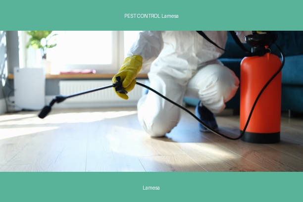 PEST CONTROL Lamesa